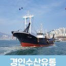 서대2 | 국내산 반건조 서대, 어디서 사지? ‘경인수산유통’ 솔직 후기!