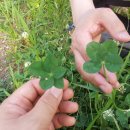 재경농장 이미지