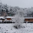 둘리민박 이미지