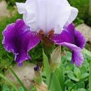 화원농장1 이미지