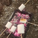 수도캠핑장 | 평택 캠핑장-[그릴로와] 내돈내산 솔직후기(셀프바베큐장,애견동반가능)