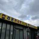 제주라온카시트