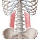 몸짱만들기 GYM 이미지