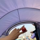 신일슈퍼 | 스테나 가습기, 신일 무선 선풍기, 타고가요 캐리어 등 AWW 추천 리스트 후기 모음