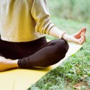 테라피 요가 이미지