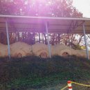 순창장류박물관 이미지