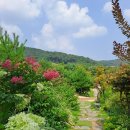 몽르베