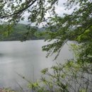 대각농장 이미지