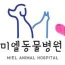 푸른하늘 동물병원 이미지