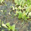 하서농장 이미지