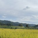 더리버에스풀빌라2 이미지