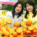 청견