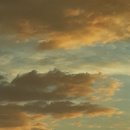 다운타운빌딩 이미지