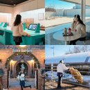 여주-1126 | 여주 가볼만한곳 루덴시아테마파크 주주팜 카페 등 여행 코스 6곳