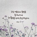 온누리교회 이미지