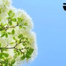 주식회사 컬쳐팩토리아지트 이미지