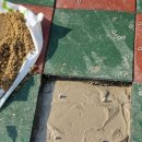 청당키즈어린이집 이미지