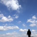 푸른하늘 이미지