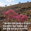 "죽었다 살아난 사람들 " 이미지