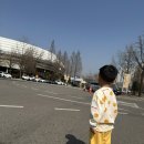 뜸들이다 안양지점 | 5세 아이와 함께 잠실 농구장 관람 후기 ( 뜸들이다석)