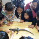 옥포청소년문화의집 이미지