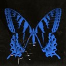 송소희x두번째달x김준수: 모던민요 | 여우락 후기] 송소희 '공중무용' 열창... 국악인? 싱어송라이터?