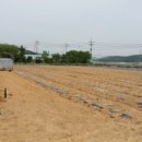 성운농장 이미지