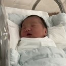 라벨팜므 산후조리원 | 일산 산후조리원 | 파주 운정 라벨팜므 13박 14일 후기