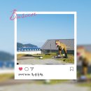 이디야커피 부산엄궁동점 | 부산 송도해상케이블카 이디야 | 음료들고 탑승 가능 후기 야외테라스 루프탑 전망대