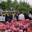 수 그린웨이 이미지