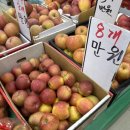 남영상회