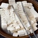 황금코다리 이미지