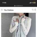 디디킴