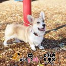 홈리드2