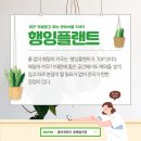 플라워뉴스