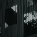 디컬리전 - 12420 | 디컬리전