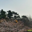 고실농장 이미지