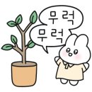 영전농장 이미지