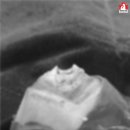 대전우리동물의료센터 이미지