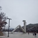 1년이 지나서야 쓰는 Hello, BOJ 2023! 후기