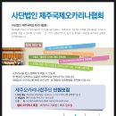 오카리나 (고급) Daum카페