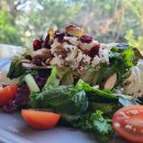 투어뽕끄랑