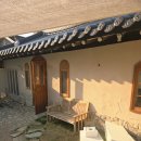 몽몽하나 | 전주 애견동반 숙소 미미몽몽 후기