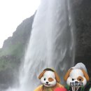 위샌드 We sand | 레이니스피아라 Seljalandsfoss, Skógafoss, Dyrhólaey Arch, and Reynisfjara Black Sand Beach
