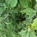 느릅농장 | 갈비뼈 실금 증상 통증 줄이는법 후기