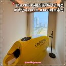 부산다이어트추천 칼로리바부산명지점 30분만에 체지방 실제로 감소한 솔직후기