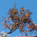 우리동내 이미지