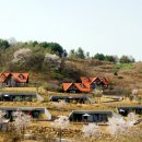 연천 미라클타운 이미지