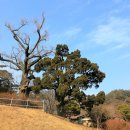 입암서원 앞 이미지