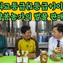 매노마케팅
